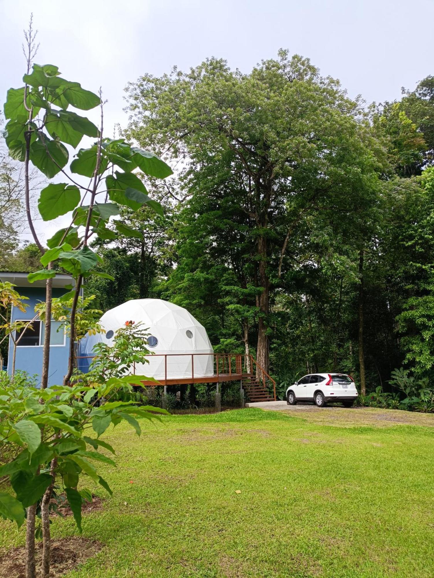 Bitzu Dome-Bijagua Riverside Glamping Εξωτερικό φωτογραφία