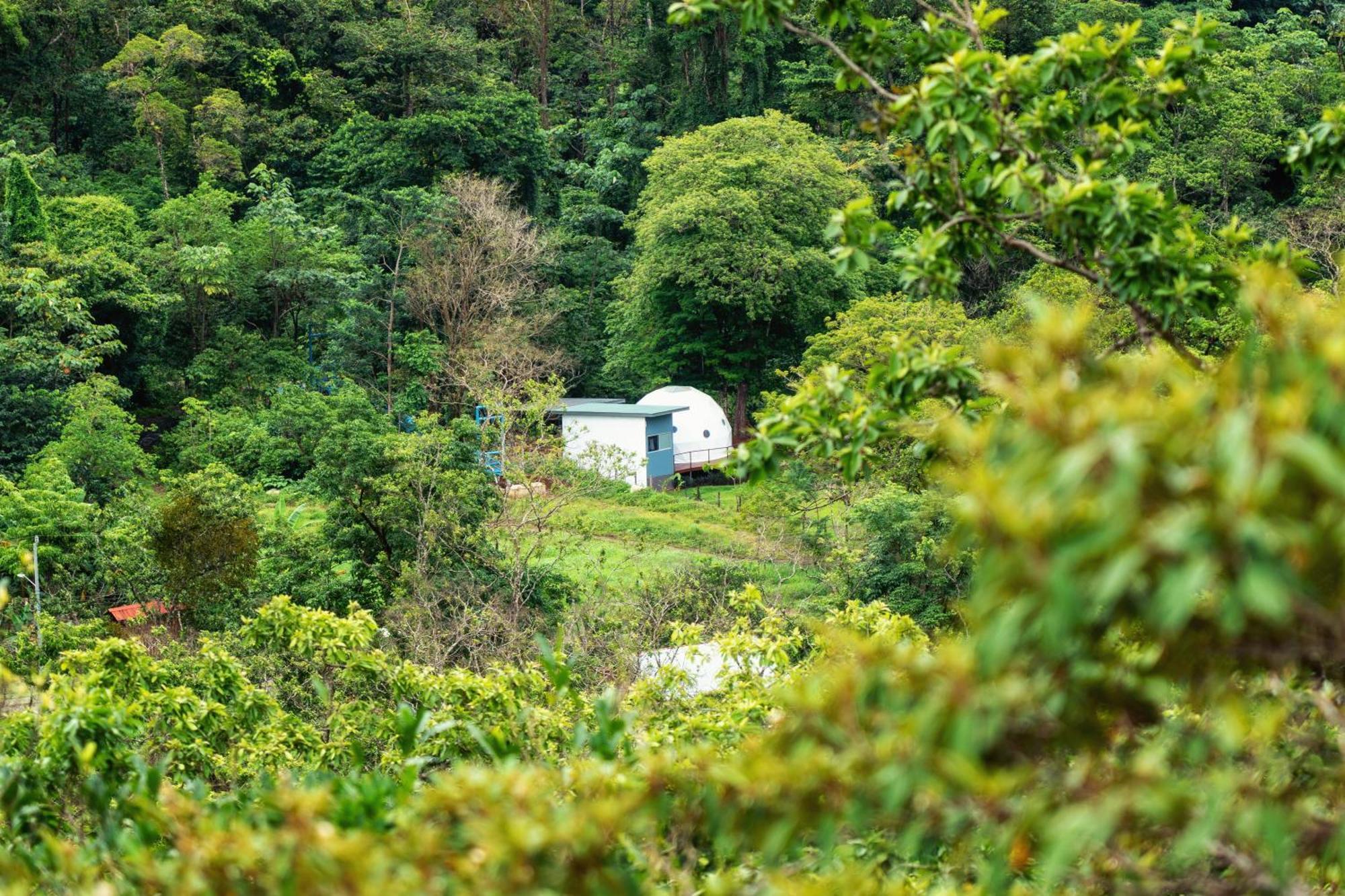 Bitzu Dome-Bijagua Riverside Glamping Εξωτερικό φωτογραφία