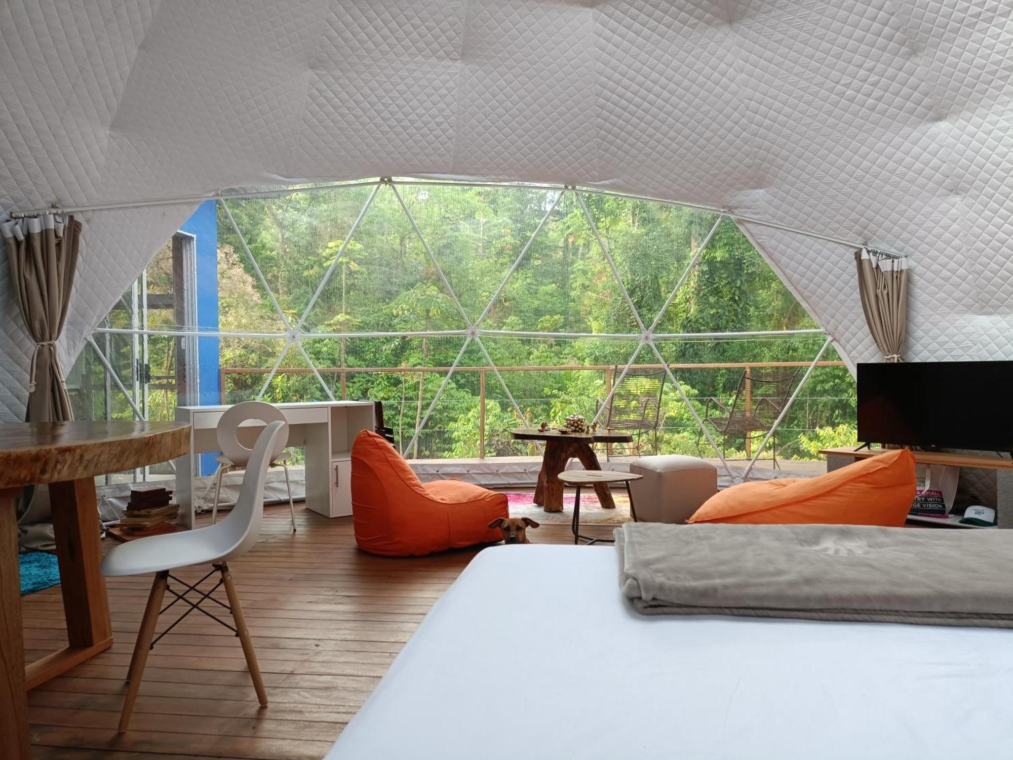 Bitzu Dome-Bijagua Riverside Glamping Εξωτερικό φωτογραφία