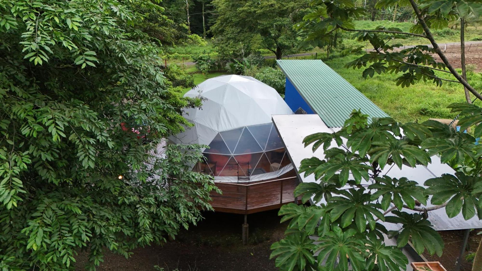 Bitzu Dome-Bijagua Riverside Glamping Εξωτερικό φωτογραφία